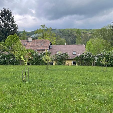 Bed&Breakfast Im Gruenen Nah An Wien Brettwies Екстер'єр фото
