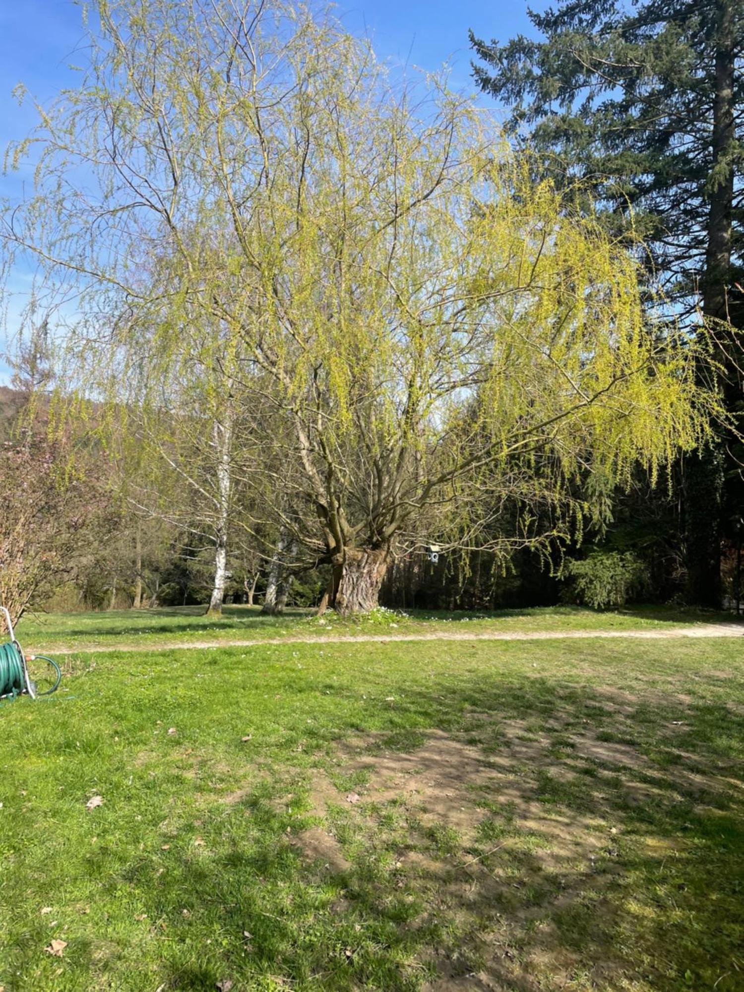 Bed&Breakfast Im Gruenen Nah An Wien Brettwies Екстер'єр фото